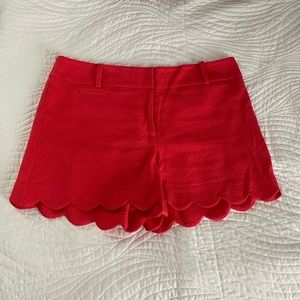 Women's  Size 8 The Loft Shorts